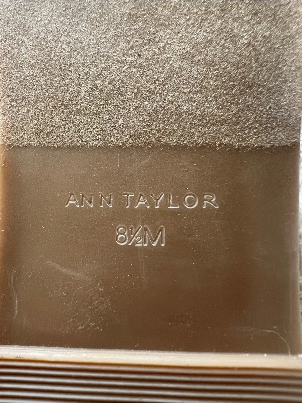 Ann Taylor new without